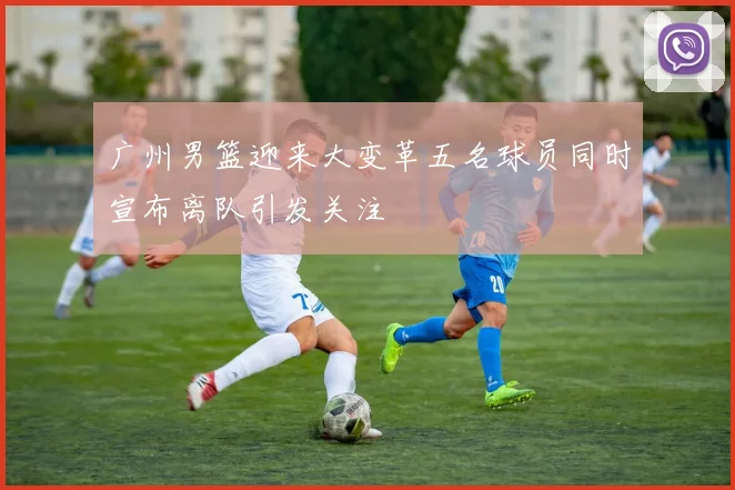 广州男篮迎来大变革五名球员同时宣布离队引发关注